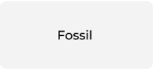 Fossil